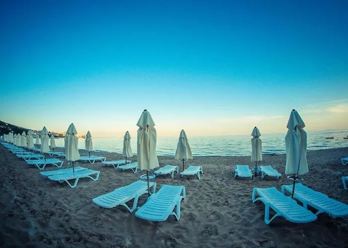 Noks- Marina- Avalonia *